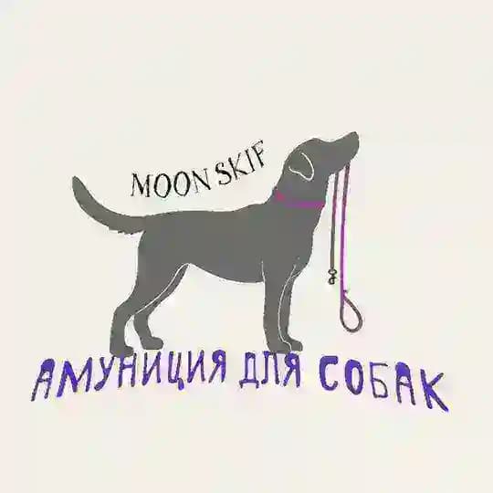 Амуниция для животных🐕