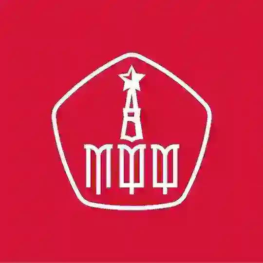 Московская федерация футбола (МФФ)