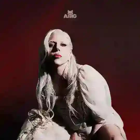 𝑳𝒂𝒅𝒚 𝑮𝒂𝒈𝒂 𝑵𝒂𝒕𝒊𝒐𝒏 🖤