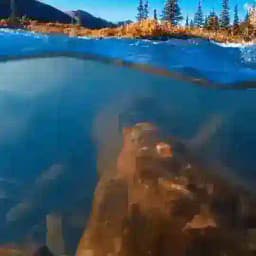 𝓟𝓼𝓲𝔁𝓸_𝓟𝓮𝓭𝓪𝓺𝓸𝓺 👩🏼‍🏫 Profile