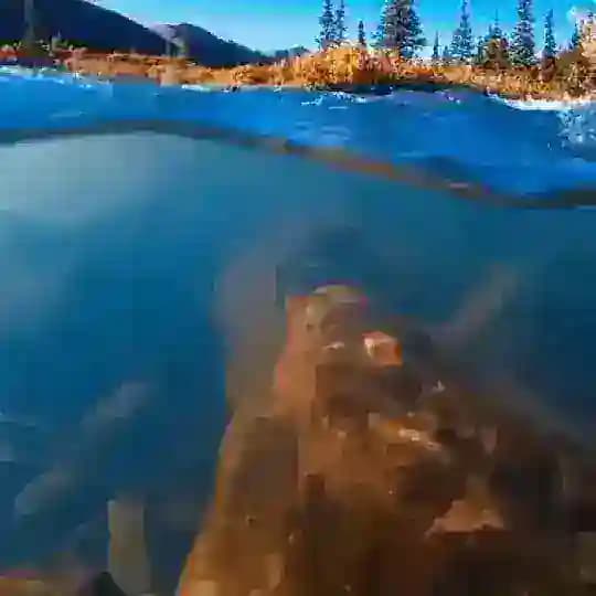 𝓟𝓼𝓲𝔁𝓸_𝓟𝓮𝓭𝓪𝓺𝓸𝓺 👩🏼‍🏫 Profile