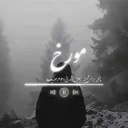 Movarekh 𖣂 مُوَرِخ