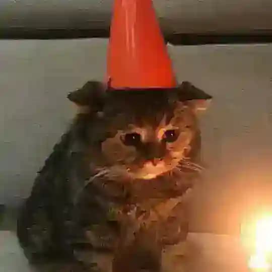 Мовний склад