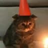 Мовний склад