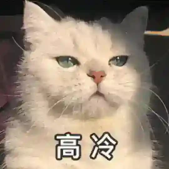 摸摸小猫头_Q