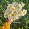 𝕄𝕠𝕪𝕔𝕙𝕖𝕔𝕙𝕒𝕜 🌼