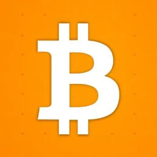 Mr.Bitcoin Whale