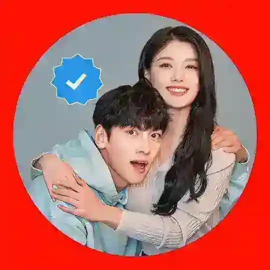 MR GD C - DRAMA Hindi Dubbed ❣️