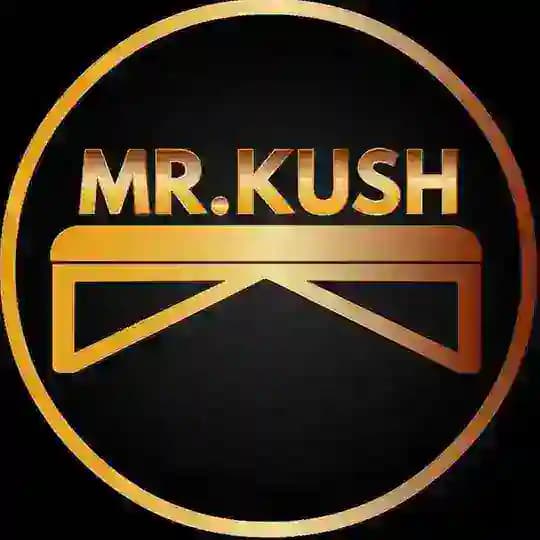 ️MR.KUSH - оборудование для салонов красоты, мастеров. Кушетки, массажный стол, стул мастера, педикюрное кресло стул