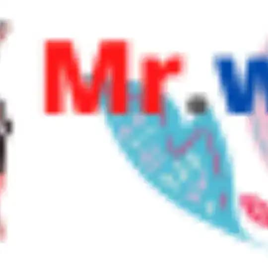 Mr World TV
