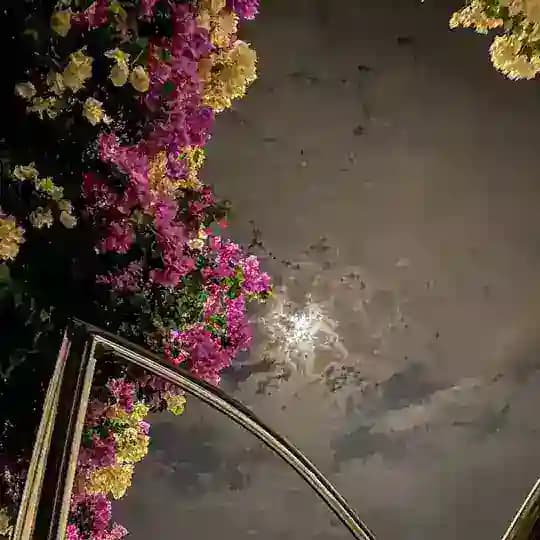 مسلم🍃