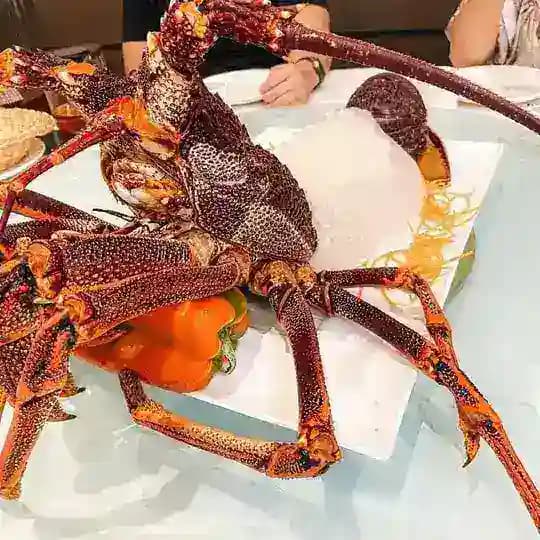 【美食素材】【高清照片】