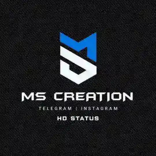MS CREATION 225