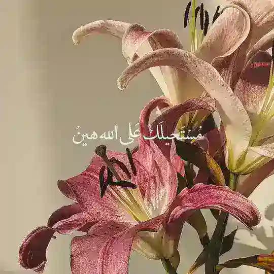 ↜عَـٰالَمُ السَٰــ٭ـلَفِيَٖاتْ ִֶָ ٰٓ ۦٰ🇹🇳