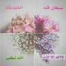 🌺آيات ومواعظ🌺