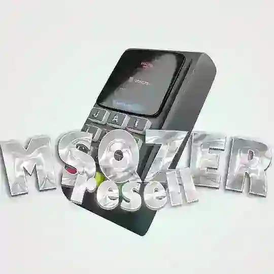 MSQZER