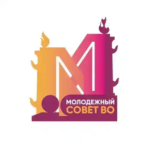 Василеостровская молодёжь