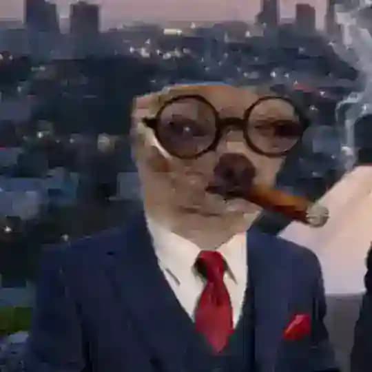 справочная муара