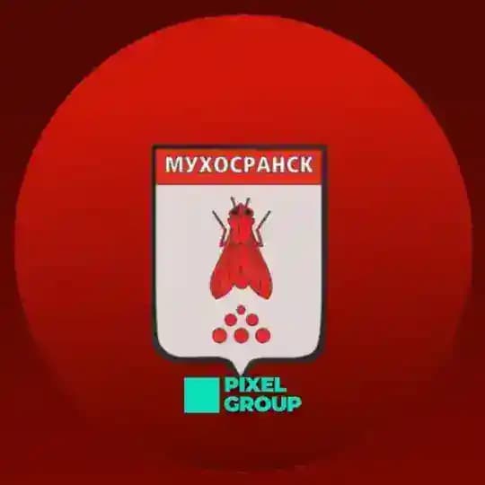 Будни Мухосранска Profile