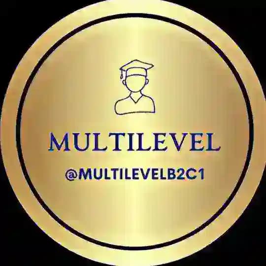 MULTILEVEL B2/C1 Profile