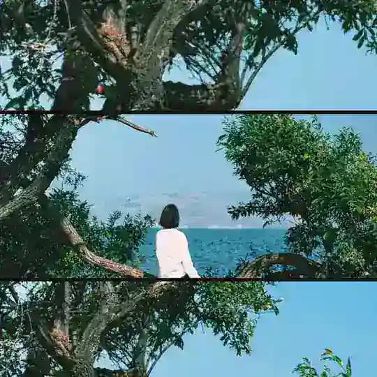 沐恩