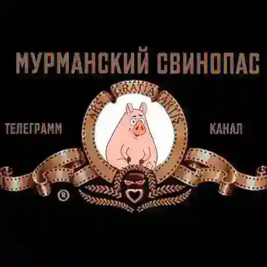 Мурманский свинопас