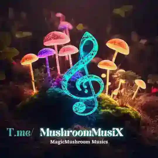 MushroomMusic موزیک مجیک ماشروم 🆇