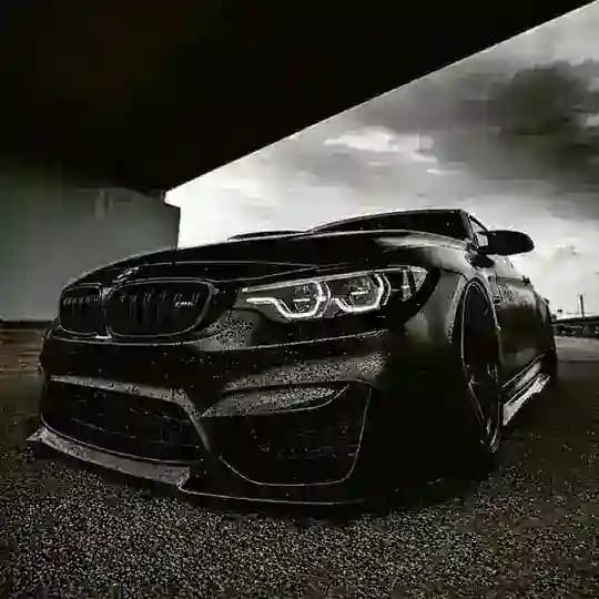 Music_trend