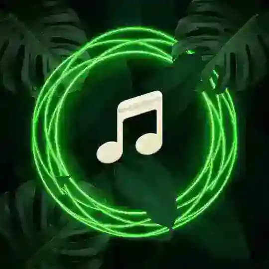 Music Provider