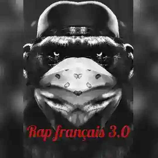 Rap Français 3.0 🏴‍☠️🇨🇵 Profile