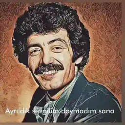 𝕄𝕦𝕤𝕝𝕦𝕞 𝕘𝕦𝕣𝕤𝕖𝕤 ᴏꜰꜰɪᴄɪᴀʟ Profile