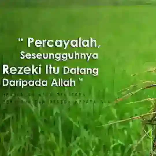 Kata Semangat & Nasihat Agama Profile