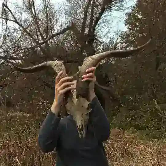 Муторність Profile