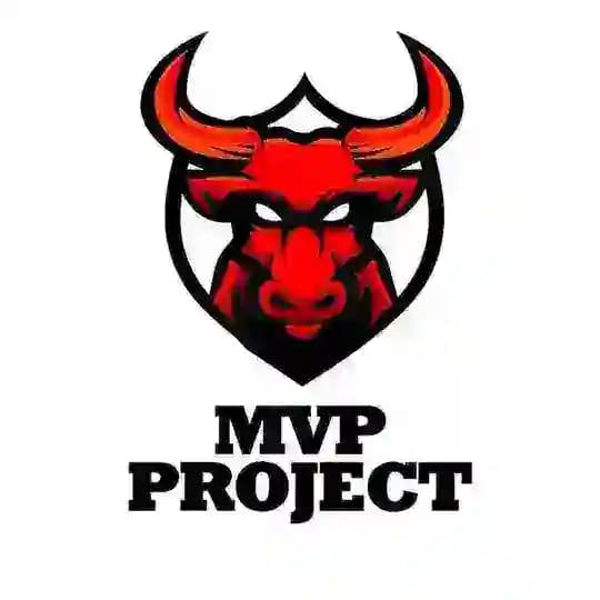 MVP Project 🎯