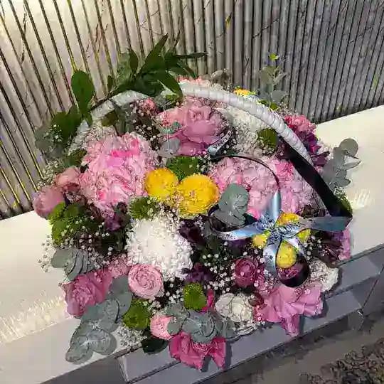 𝓜𝔂. 𝓢𝓸𝓾𝓵 🤍 Profile