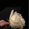 𝓣𝓱𝓸𝓾𝓰𝓱𝓽🥀