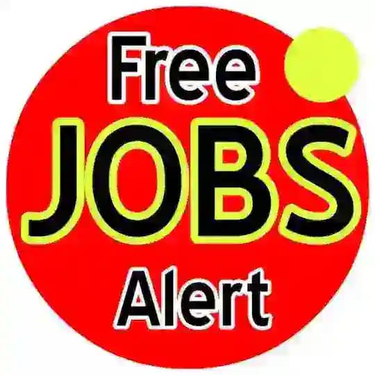 Daily Job Updates