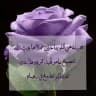 💗من كل💗بستان زهرة💗
