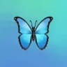 YouTube Channel Subscriber