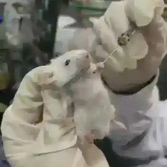 疫苗副作用频道 Profile