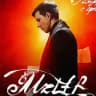 mzlff tours