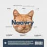 NAAVRY ( RPIN ) OPEN