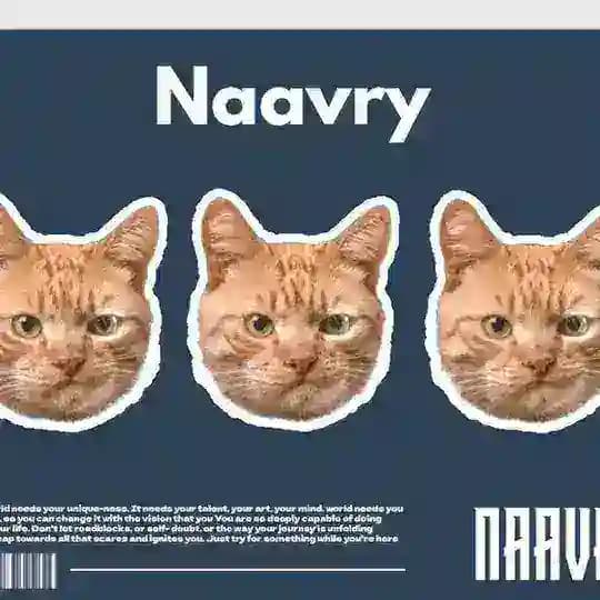 naavry archives.