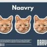 naavry archives.