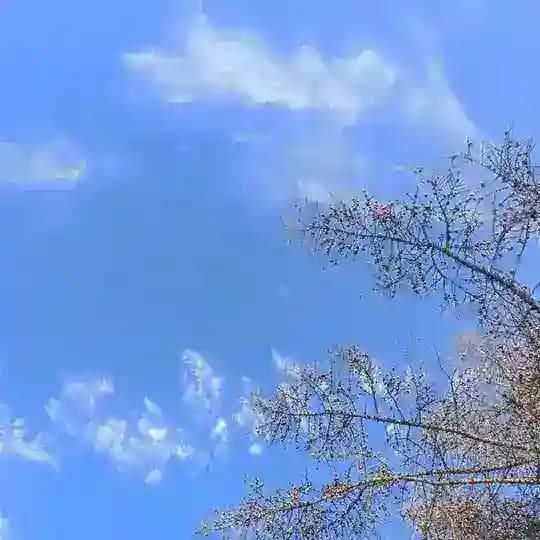 Надеждотерапия