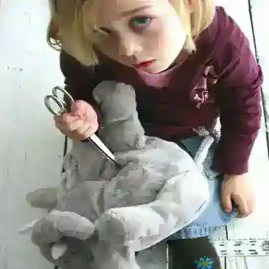 nahojku