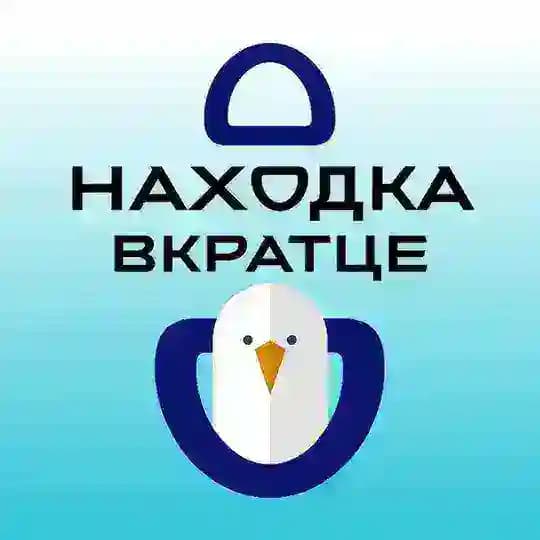 Находка вкратце