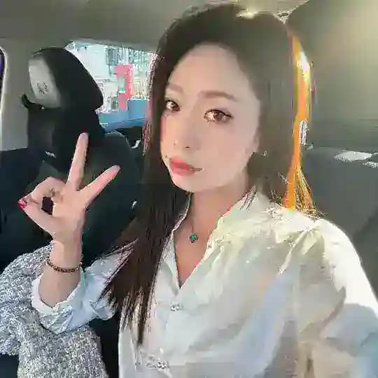 楠楠的后宫佳丽