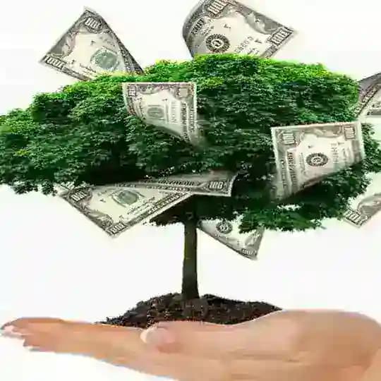 На пассивный доход за 2 года 💵