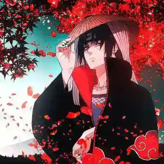 Naruto Shippuden 221-500 Episode Hindi